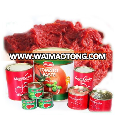 specification brands canned food  tomato paste