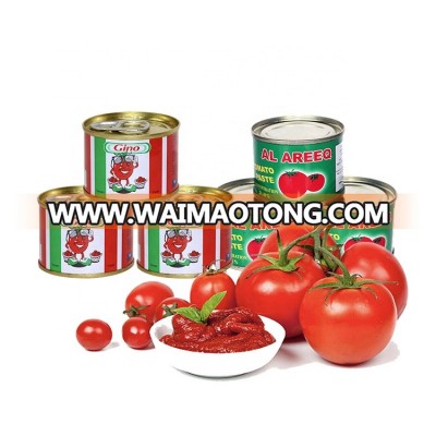 Gino Quality Tomato Paste from 70g to 2200g for Africa