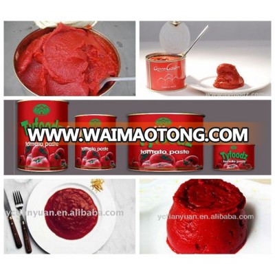 70g Canned tomato paste original manufacturer