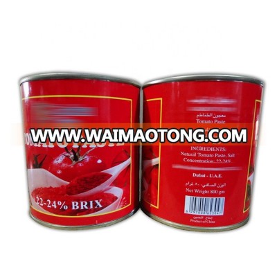 Good quality 800g canned tomato paste with brix 22-24% for Dubai