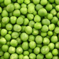 Best Price  Frozen Green Peas