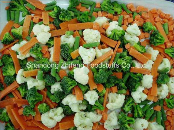 Frozen Mixed Vegetable for Exporting